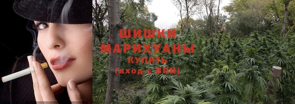 эйфоретик Белоозёрский