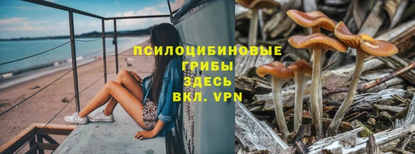 прущий лед Белокуриха